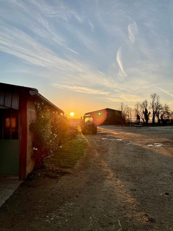 Chambre A La Ferme Precy-le-Sec Luaran gambar