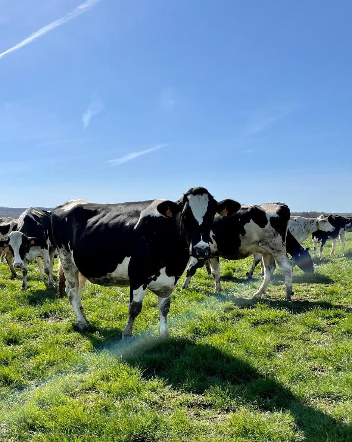 Chambre A La Ferme Precy-le-Sec Luaran gambar